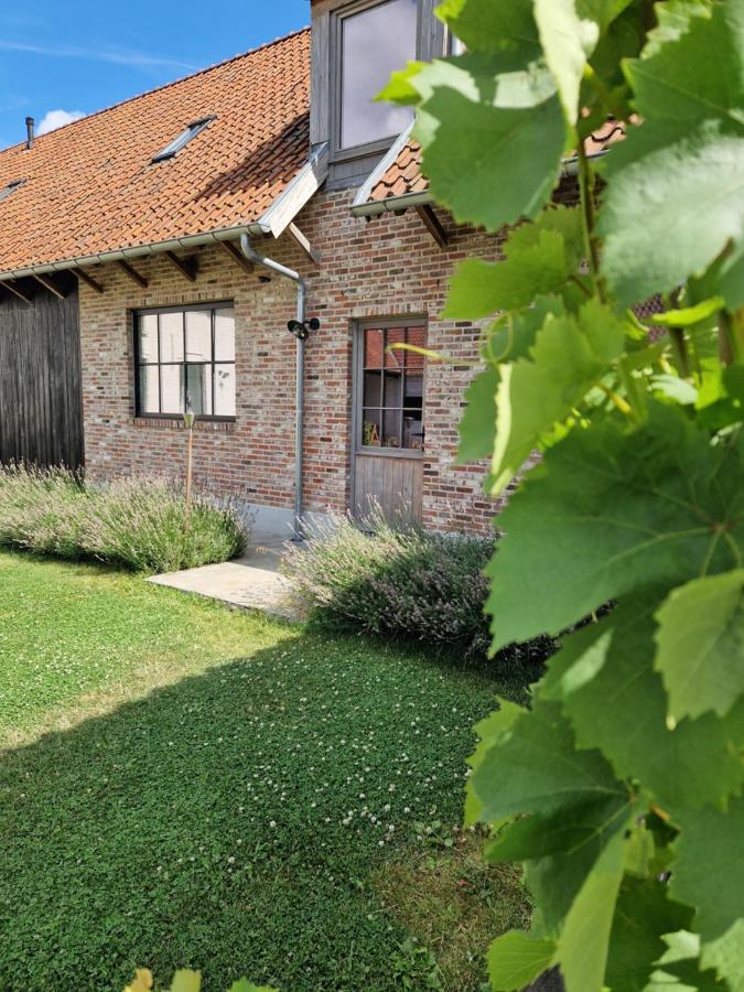 Muntershof Villa Velzeke-Ruddershove ภายนอก รูปภาพ